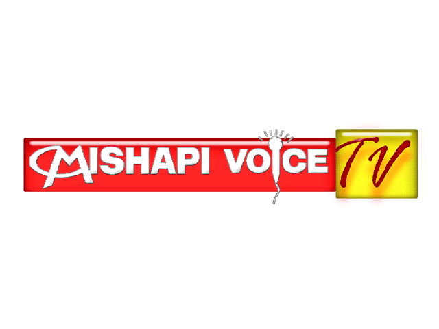 MISHAPI logo channel